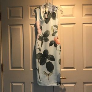 Ted Baker "Distinguishing Rose" midi-dress
